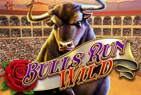 Bulls Run Wild
